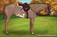 Horse Color:Red Roan Frame 