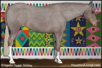 Horse Color:Liver Red Roan Appaloosa 