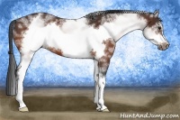 Horse Color:White Spotted Bay Frame