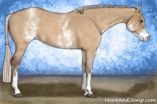 Horse Color:White Spotted Silver Brown Roan Dun