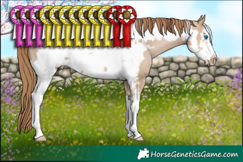 Horse Color:Grullo Pearl Sabino Frame 
