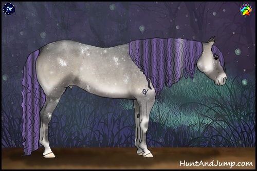 Horse Color:Painted White Spotted Blue Onyx Roan Rabicano 