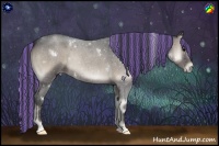 Horse Color:Painted White Spotted Blue Onyx Roan Rabicano 