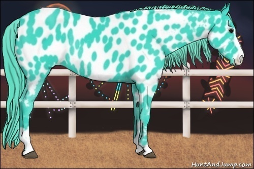Horse Color:Watercolor Black Sabino Near Leopard Rabicano 