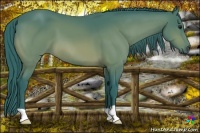 Horse Color:Watercolor Bay 