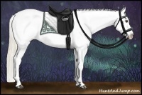 Horse Color:Palomino Appaloosa