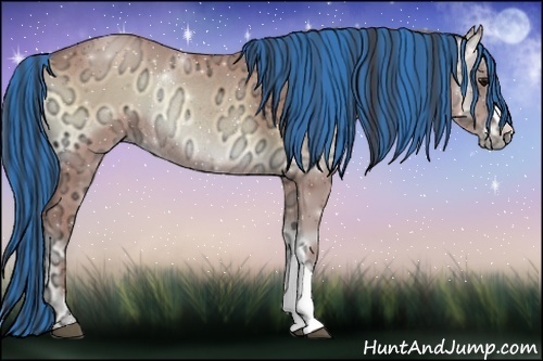 Horse Color:Painted Buckskin Ice Onyx Rabicano