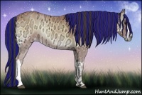 Horse Color:Painted Buckskin Ice Onyx 