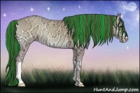 Horse Color:Painted Classic Cream Champagne Ice Onyx 