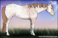 Horse Color:Watercolor Buckskin Ice Pearl Onyx 