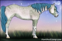Horse Color:Watercolor Bay Ice Onyx 