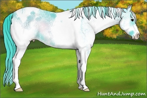 Horse Color:Watercolor White Spotted Bay Onyx Tobiano Rabicano