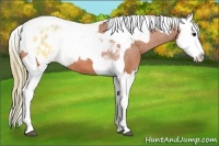 Horse Color:Bay Splash Tobiano Varnish and Buckskin Splash Tobiano Varnish