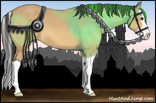 Horse Color:Buckskin Splash 