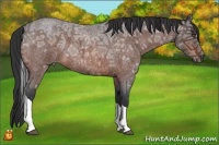 Horse Color:Bay Ice Roan Tobiano 