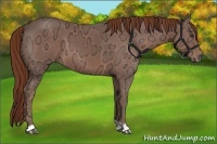 Horse Color:Chestnut Ice 