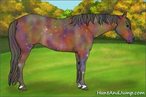 Horse Color:Nacre Bay 