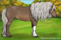 Horse Color:Silver Buckskin 