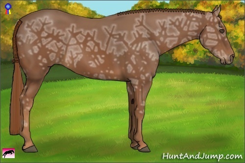 Horse Color:Chestnut Ice 