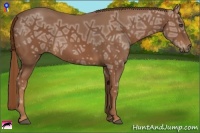Horse Color:Chestnut Ice 