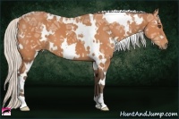 Horse Color:White Spotted Silver Bay Ice 