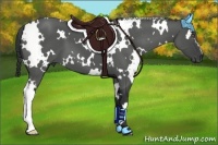 Horse Color:White Spotted Black Frame