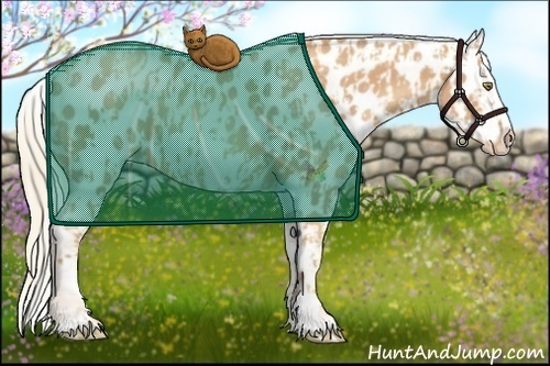 Horse Color:Gold Champagne Appaloosa and Gold Champagne Frame Appaloosa