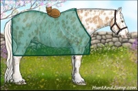 Horse Color:Gold Champagne Appaloosa  and Gold Champagne Frame Appaloosa 