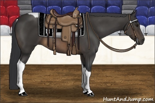 Horse Color:Buckskin Tobiano 