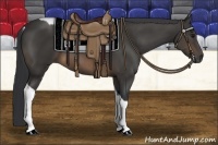 Horse Color:Buckskin Tobiano 