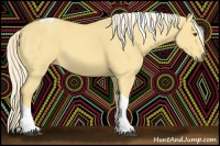 Horse Color:Palomino Dun Tobiano