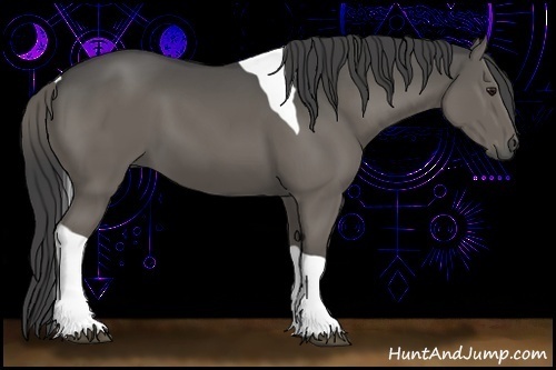 Horse Color:Smoky Grullo Tobiano