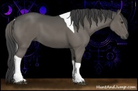 Horse Color:Smoky Grullo Tobiano