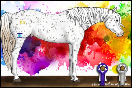Horse Color:Smoky Grullo Splash Appaloosa 