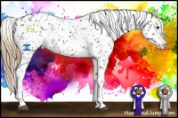 Horse Color:Smoky Grullo Splash Appaloosa 