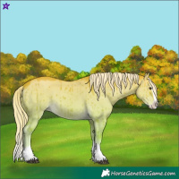 Horse Color:Palomino Dun Splash Brindle 