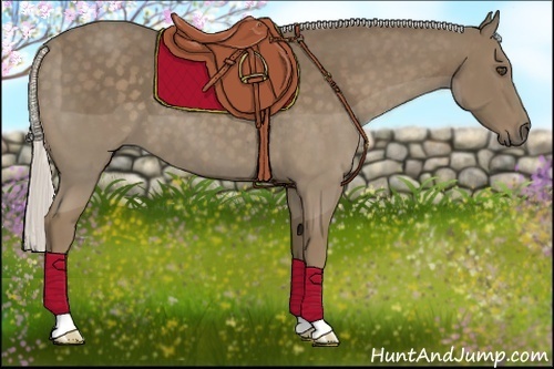 Horse Color:Silver Smoky Black 