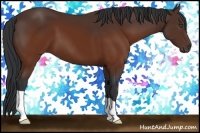 Horse Color:Brown 
