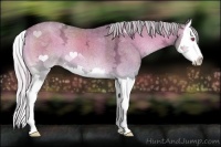 Horse Color:Silver Classic Champagne Chinchilla Ice Onyx Splash 