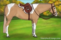 Horse Color:Palomino Splash Tobiano