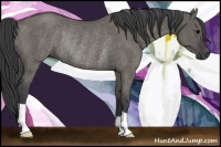 Horse Color:Grullo Rabicano 