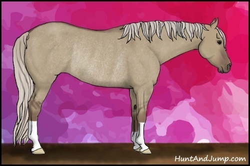 Horse Color:Silver Grullo Rabicano