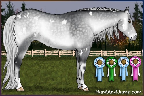 Horse Color:White Spotted Silver Blue Onyx Chinchilla 