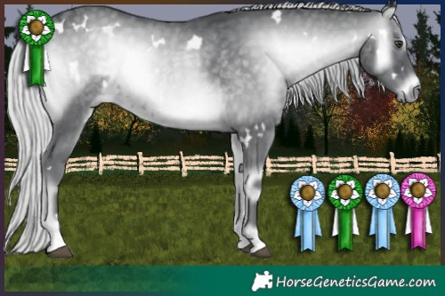 Horse Color:White Spotted Silver Blue Onyx Chinchilla 