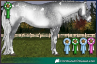 Horse Color:White Spotted Silver Blue Onyx Chinchilla 