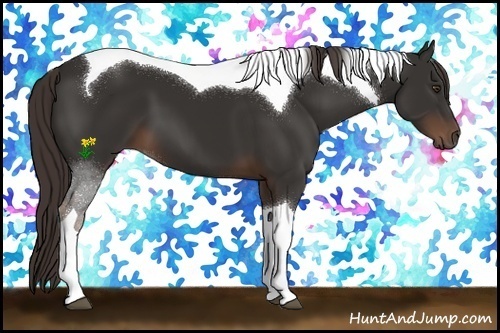 Horse Color:Liver Chestnut Tobiano 