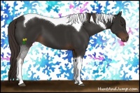Horse Color:Liver Chestnut Tobiano 