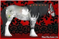 Horse Color:Grullo Chinchilla Splash Rabicano 