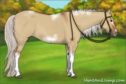 Horse Color:Silver Bay Dun Sabino Tobiano Frame Rabicano 
