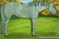 Horse Color:Watercolor Chestnut 